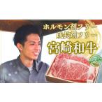 厳選 江田和牛 サーロインステーキ 600gセット 200g×3枚