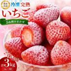 冷凍完熟いちご3kg 1kg×3袋