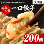 一口餃子 200 個入りタレ4個
