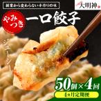 一口餃子 50 個入りタレ1個 3か月に1回お届け