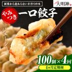 一口餃子 100 個入りタレ2個 3か月に1回お届け