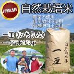 ※予約受付 R8年11月上旬~発送 DB-7.