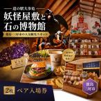 妖怪屋敷 石の博物館 入場券 2枚