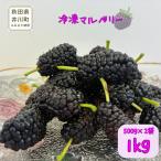 マルベリー 冷凍 1kg