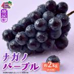 ナガノパープル 約2kg
