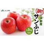 訳あり りんご 長野 リンゴ サンふじ 約3kg