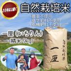 ※予約受付 R8年11月上旬~発送 DC-5.