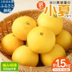 令和9年 谷川果樹園の小夏1.5kg