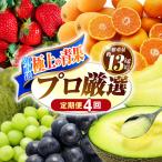 果物屋が選ぶ旬のフルーツ定期便 いちご