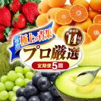 果物屋が選ぶ旬のフルーツ定期便 いちご