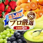 果物屋が選ぶ旬のフルーツ定期便 いちご