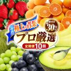 果物屋が選ぶ旬のフルーツ定期便 いちご