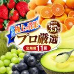 果物屋が選ぶ旬のフルーツ定期便 いちご