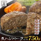 生ハンバーグ750g 150g×5個