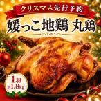 媛っこ地鶏 丸鶏 約 1.8kg