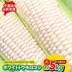 ホワイトトウモロコシ 2Lサイズ12本入り