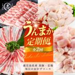 黒豚 若鶏 毎日のおかずコース 志布志うんまか定期便