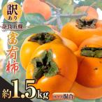 訳あり 富有柿 約1.5kg