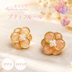 アクセサリー ピアス さくら貝 Kakeraシリーズ