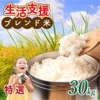 近江ブレンド米 特選 白米 30kg