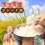 訳あり小粒 近江ブレンド米 5kg