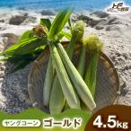 潮風ベイビー 4.5kg