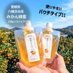 ふるさと納税 愛媛県産　みかん蜂蜜220g×2パック【74-2】 YWTAR002 愛媛県八幡浜市