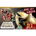 冷凍 約10kg