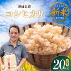 令和8年度新米 コシヒカリ 玄米 20kg