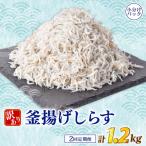 しらす 訳あり 計 1.2kg