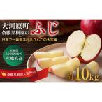No.1 りんご ふじ 10kg
