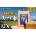 令和7年産 白米 あきたこまち 30kg