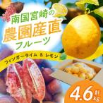 フルーツ セット