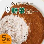 グルテンフリー 野菜カレー 辛口 5食セット
