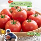 大玉トマト3kg 大 10玉