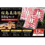 B2-0409 桜島美湯豚 BBQセット