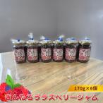 きんたろうジャム3種セット 170g×6個