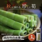 四方竹 水煮 120g
