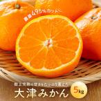大津みかん 5kg