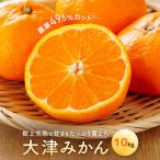 大津みかん 10kg