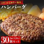 九州産黒毛和牛と九州産豚肉 ハンバーグ