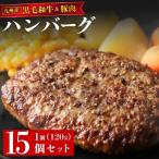 九州産黒毛和牛と九州産豚肉 ハンバーグ