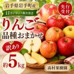 りんご 訳あり サンふじ 約5kg