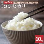 コシヒカリ10kg 5kg×2袋