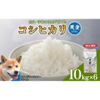 宇陀の自然が育てた 天空 コシヒカリ 定期便 10kg×6回