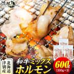牛肉 ホルモン 流氷牛 ミックスホルモン 600g
