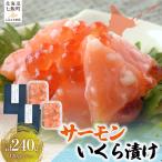サーモンいくら漬け120g×2パック
