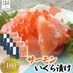 サーモンいくら漬け120g×4パック