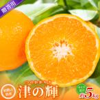 森本農園の手選別 津の輝 約5kg