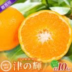 森本農園の手選別 津の輝 約10kg